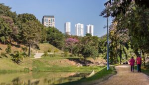 Vista-do-Parque-Carlos Alberto de Souza no Campolim em Sorocaba